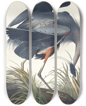 Triptych art skateboard deck of John James Audubon Great Blue Heron by John James Audubon (1785-1851)