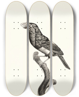 Triptych art skateboard deck of Jacques Barraband Le Barbican by Jacques Barraband (1767-1809)