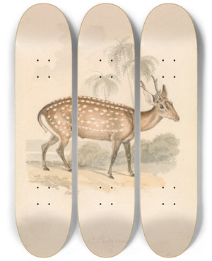Triptych art skateboard deck of Samuel Howitt Hog Deer by Samuel Howitt (1756-1822)