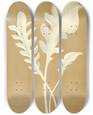 Triptych art skateboard deck of Edward Joseph Lowe Centaurea Candidissima by Edward Joseph Lowe (1825-1900)
