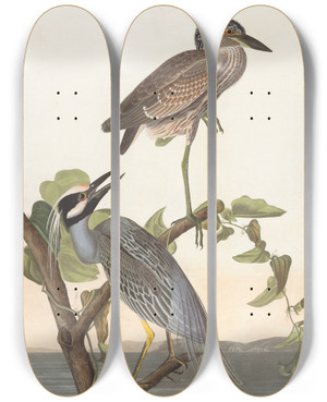 Triptych art skateboard deck of John James Audubon Yellowcrowned Heron by John James Audubon (1785-1851)