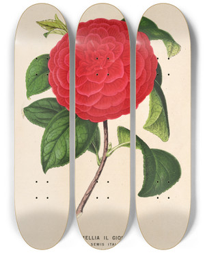 Triptych art skateboard deck of Charles Antoine Lemaire Camellia Il Giogello by Charles Antoine Lemaire (1800-1871)