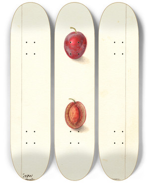 Triptych art skateboard deck of Deborah Griscom Passmore Prunus Domestica Heaton by Deborah Griscom Passmore (1840-1911)