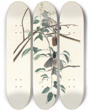 Triptych art skateboard deck of John James Audubon Blackcapped Titmouse by John James Audubon (1785-1851)