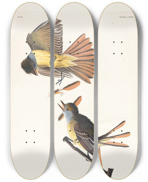 Triptych art skateboard deck of John James Audubon Great Crested Flycatcher by John James Audubon (1785-1851)