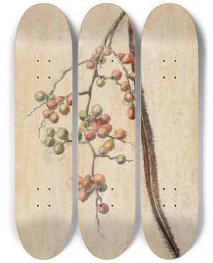 Triptych art skateboard deck of Ferdinand Keller Studie Eines Frchte Tragenden Zweiges by Ferdinand Keller (1842-1922)