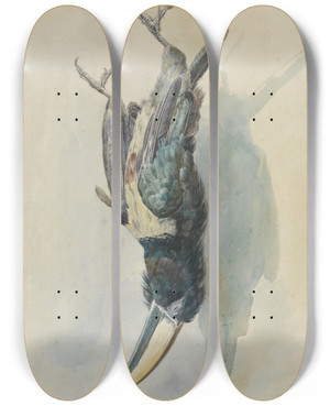 Triptych art skateboard deck of Ferdinand Keller Studie Eines Tukans Pfefferfresser by Ferdinand Keller (1842-1922)