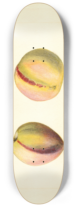 James Marion Shull - Prunus persica: Early Crawford? 8.25 inch art skate deck