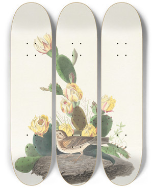 Triptych art skateboard deck of John James Audubon Baywinged Bunting by John James Audubon (1785-1851)