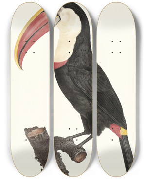 Triptych art skateboard deck of Jacques Barraband Le Tocan by Jacques Barraband (1767-1809)