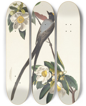 Triptych art skateboard deck of John James Audubon Forktailed Flycatcher by John James Audubon (1785-1851)