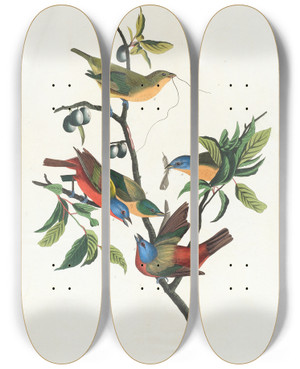 Triptych art skateboard deck of John James Audubon Painted Finch by John James Audubon (1785-1851)