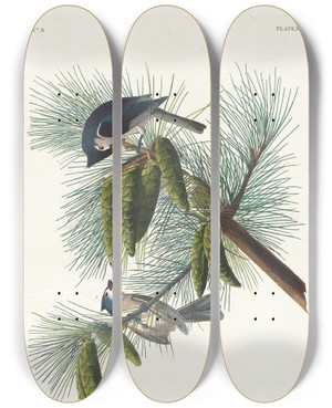 Triptych art skateboard deck of John James Audubon Crested Titmouse by John James Audubon (1785-1851)