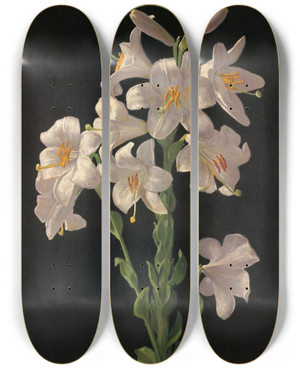 Triptych art skateboard deck of George Cochran Lambdin Easter Lily by George Cochran Lambdin (1830-1896)