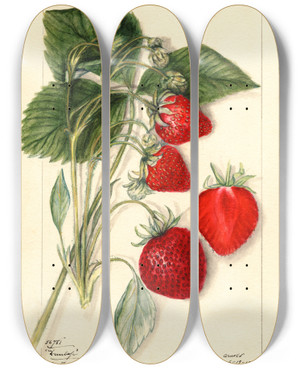 Triptych art skateboard deck of Mary Daisy Arnold Fragaria Dunlap by Mary Daisy Arnold (1873-1955)
