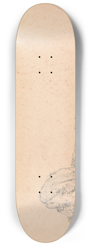 James Moore - Loch Oich 8.25 inch art skate deck