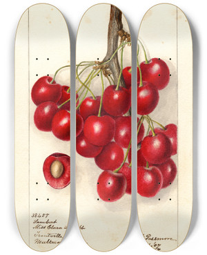 Triptych art skateboard deck of Deborah Griscom Passmore Prunus Avium Lambert by Deborah Griscom Passmore (1840-1911)