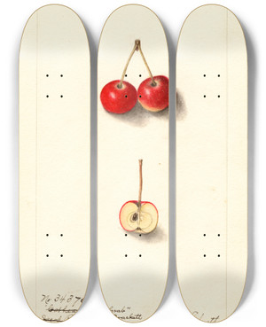 Triptych art skateboard deck of Ellen Isham Schutt Malus Cherry Crab by Ellen Isham Schutt (1873-1955)
