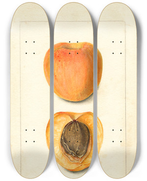 Triptych art skateboard deck of Bertha Heiges Prunus Mume Sparks Mammoth by Bertha Heiges (1866-1956)