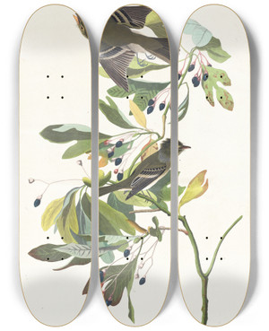 Triptych art skateboard deck of John James Audubon Small Green Crested Flycatcher by John James Audubon (1785-1851)