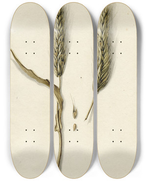 Triptych art skateboard deck of Barend Hendrik Thier Rijpe Rogge by Barend Hendrik Thier (1751-1814)