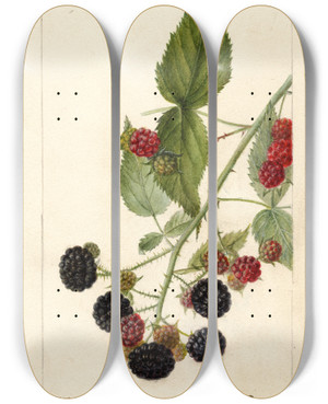 Triptych art skateboard deck of Deborah Griscom Passmore Rubus Reward by Deborah Griscom Passmore (1840-1911)
