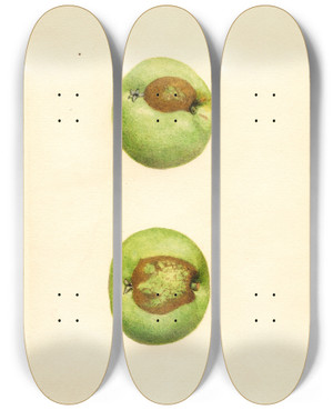 Triptych art skateboard deck of James Marion Shull Malus Domestica Grimes by James Marion Shull (1872-1948)