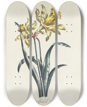 Triptych art skateboard deck of Carington Bowles Daffodil by Carington Bowles (1724-1793)