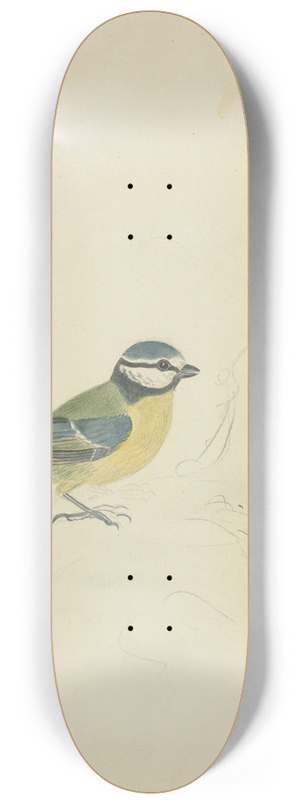 James Sowerby - A Blue Tit 8.25 inch art skate deck James Sowerby - A Blue Tit 8.25 inch art skate deck