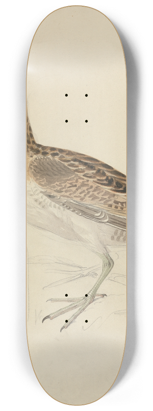 James Sowerby - A Snipe 8.25 inch art skate deck James Sowerby - A Snipe 8.25 inch art skate deck
