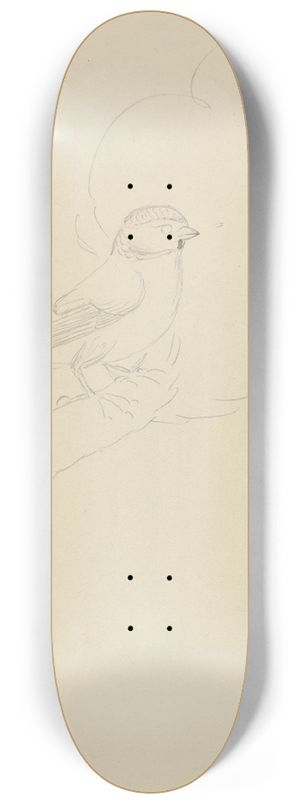 James Sowerby - Eurasian blue tit 8.25 inch art skate deck James Sowerby - Eurasian blue tit 8.25 inch art skate deck