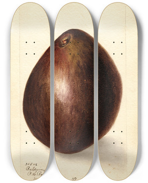 Triptych art skateboard deck of Bertha Heiges Persea Baldwin by Bertha Heiges (1866-1956)