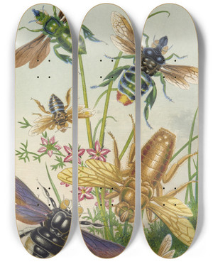 Triptych art skateboard deck of Barret And Sons Bees And Their Conterfeits by Barret And Sons (19-)