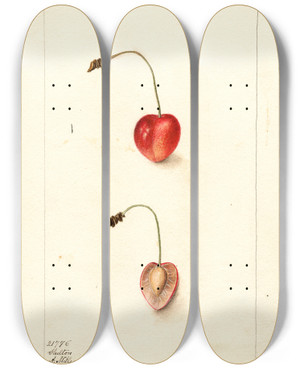 Triptych art skateboard deck of Deborah Griscom Passmore Prunus Avium Shelton by Deborah Griscom Passmore (1840-1911)