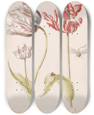 Triptych art skateboard deck of Jacob Marrel Two Tulips With Insects by Jacob Marrel (1613-1681)