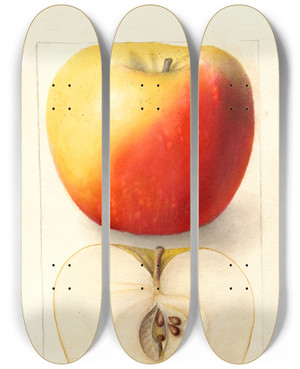 Triptych art skateboard deck of Deborah Griscom Passmore Malus Domestica Banana by Deborah Griscom Passmore (1840-1911)
