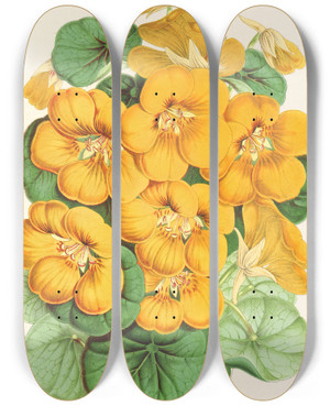 Triptych art skateboard deck of Charles Antoine Lemaire Capucine Tom Pouce by Charles Antoine Lemaire (1800-1871)