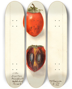 Triptych art skateboard deck of Deborah Griscom Passmore Diospyros Zengi Maru by Deborah Griscom Passmore (1840-1911)
