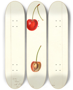 Triptych art skateboard deck of Deborah Griscom Passmore Prunus Avium Geer by Deborah Griscom Passmore (1840-1911)