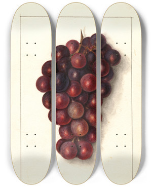 Triptych art skateboard deck of Ellen Isham Schutt Vitis Masters Roosevelt by Ellen Isham Schutt (1873-1955)