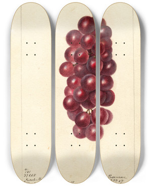 Triptych art skateboard deck of Deborah Griscom Passmore Vitis Jacob Moore by Deborah Griscom Passmore (1840-1911)