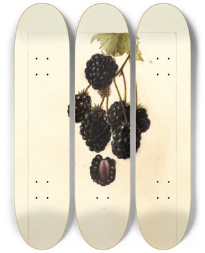 Triptych art skateboard deck of Deborah Griscom Passmore Rubus Lawton by Deborah Griscom Passmore (1840-1911)
