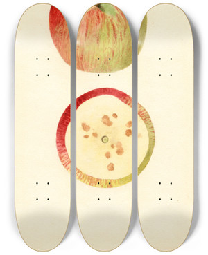 Triptych art skateboard deck of James Marion Shull Malus Domestica Ben Davis_1 by James Marion Shull (1872-1948)