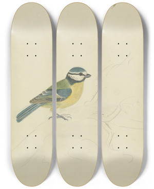 Triptych art skateboard deck of James Sowerby A Blue Tit by James Sowerby (1757-1822)