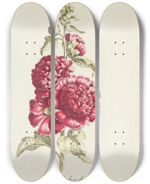 Triptych art skateboard deck of Carington Bowles Hollyhock by Carington Bowles (1724-1793)