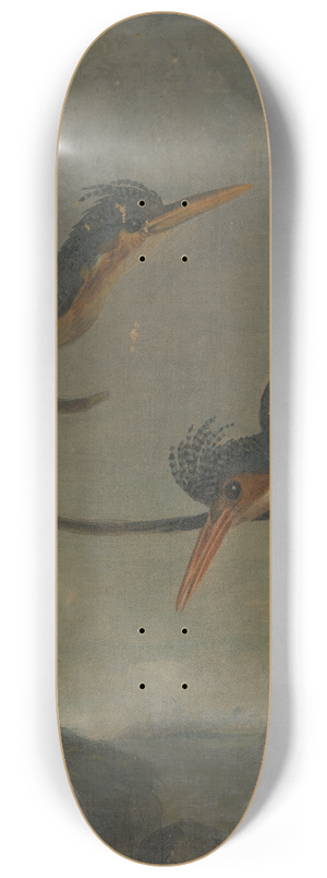 James Sowerby - Two Kingfishers beside a Lake 8.25 inch art skate deck