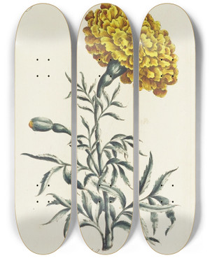 Triptych art skateboard deck of Carington Bowles African by Carington Bowles (1724-1793)