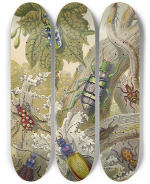 Triptych art skateboard deck of Barret And Sons British Bees And Their Foreign Relatives by Barret And Sons (19-)