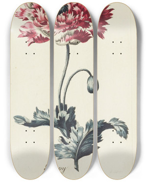 Triptych art skateboard deck of Carington Bowles Poppy by Carington Bowles (1724-1793)