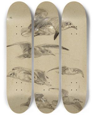 Triptych art skateboard deck of Flix Bracquemond Mouettes_1 by Felix Bracquemond (1833-1914)